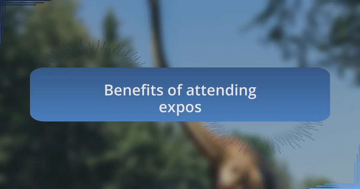 Benefits of attending expos