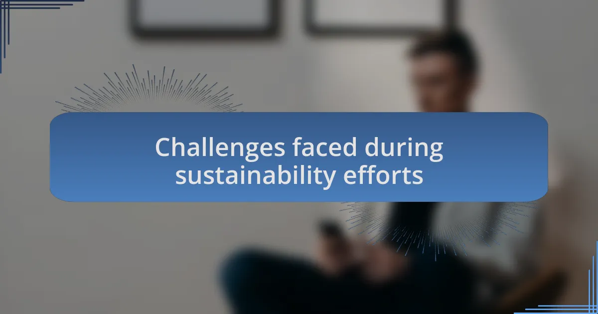 Challenges faced during sustainability efforts