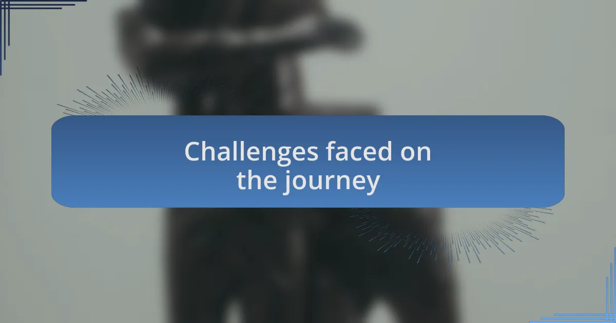 Challenges faced on the journey