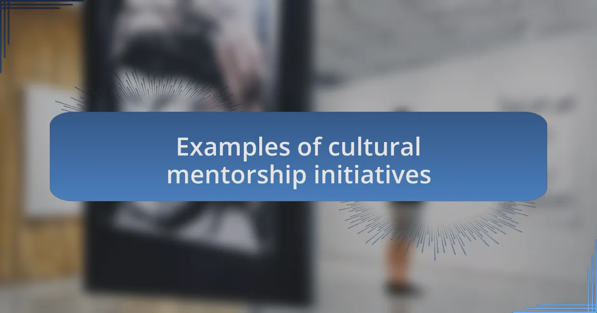 Examples of cultural mentorship initiatives