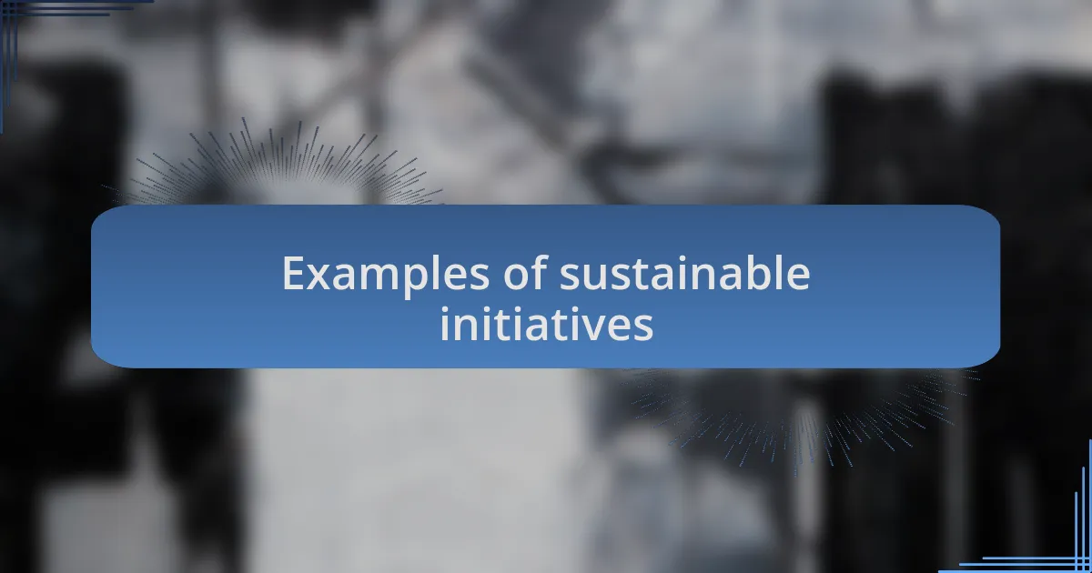 Examples of sustainable initiatives