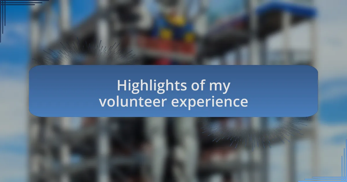 Highlights of my volunteer experience
