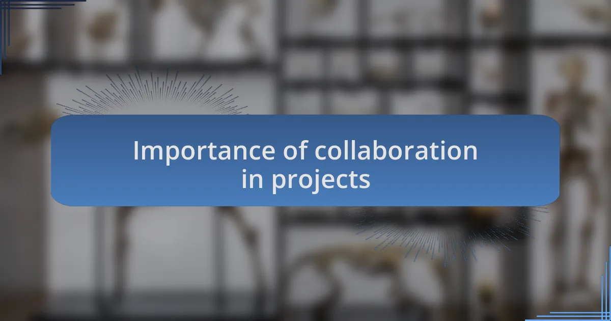 Importance of collaboration in projects