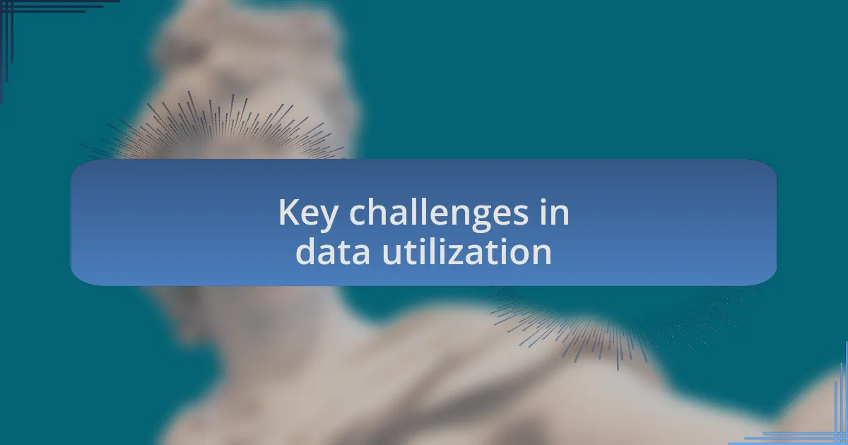 Key challenges in data utilization
