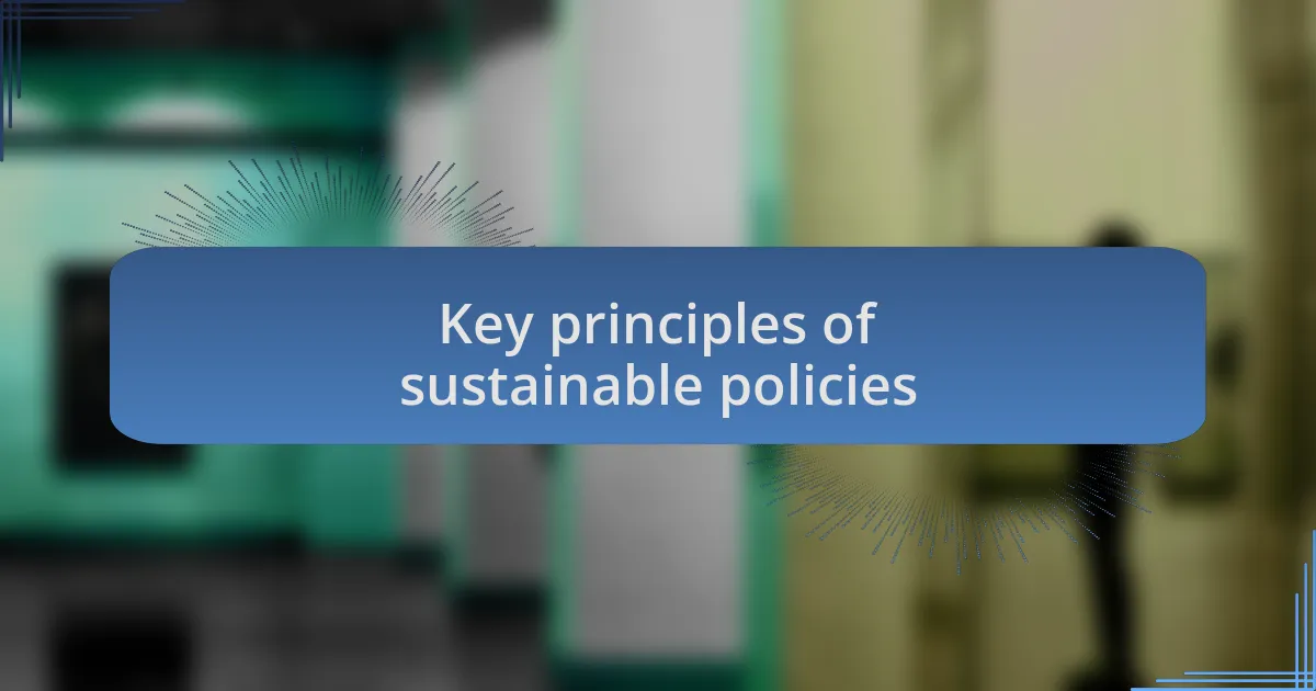 Key principles of sustainable policies