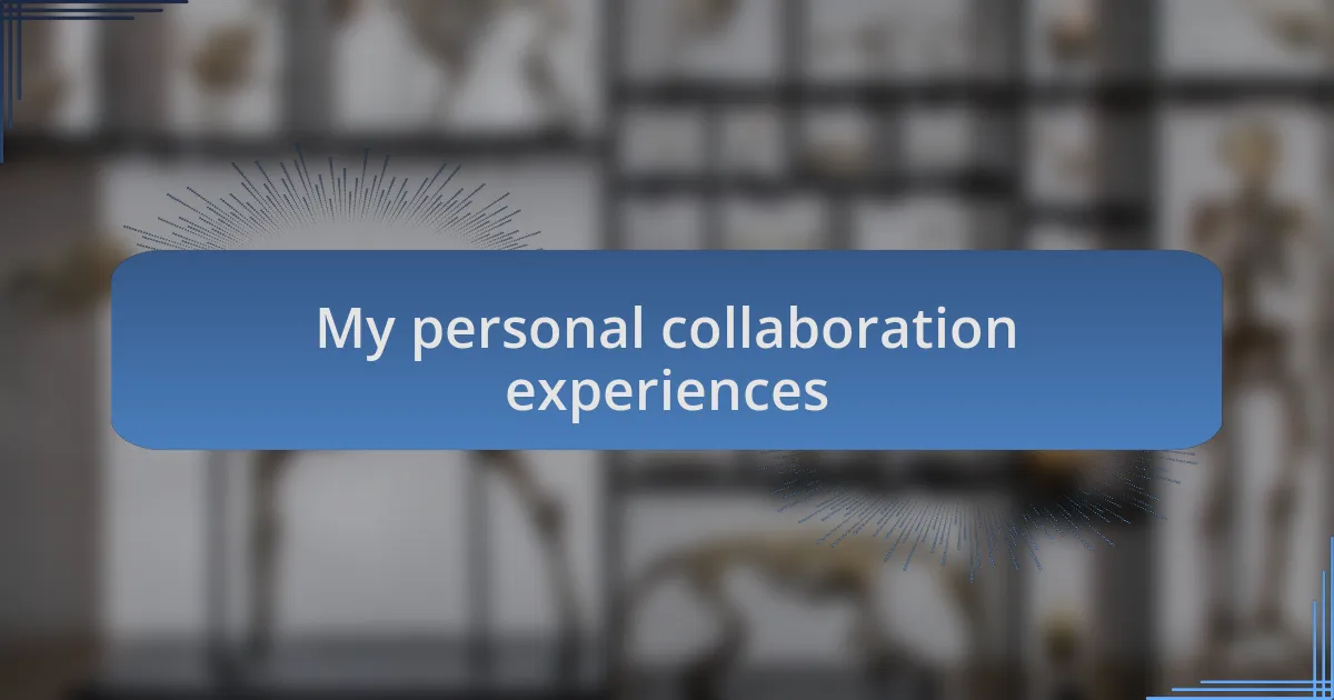 My personal collaboration experiences