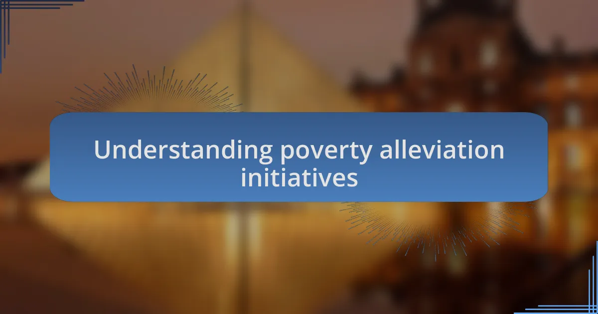 Understanding poverty alleviation initiatives
